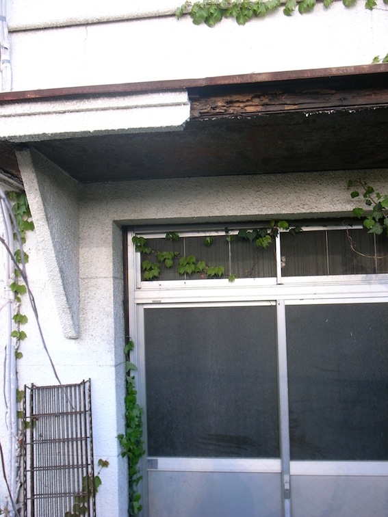 f0134963_9193145.jpg