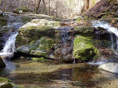 f0057070_23183150.jpg