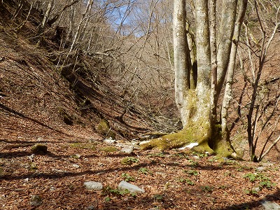 f0057070_231969.jpg