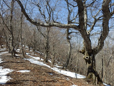 f0057070_23211755.jpg