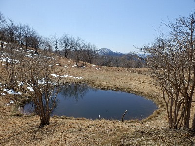 f0057070_2321330.jpg