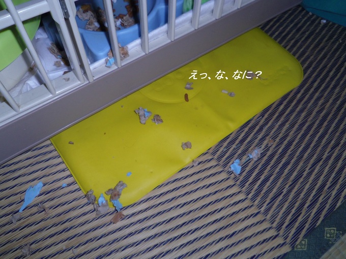 e0031572_815486.jpg