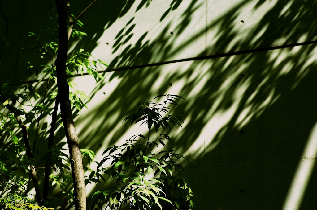 b0247073_226827.jpg