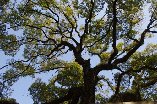 f0054677_7482194.jpg