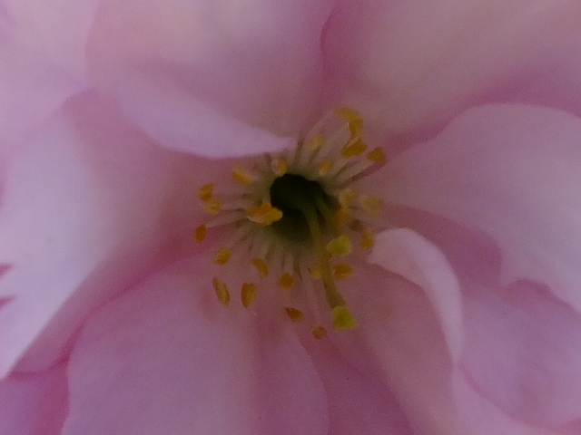 e0145782_2027387.jpg