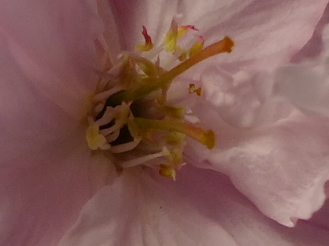 e0145782_20275912.jpg