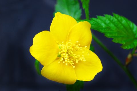 a0240085_13234091.jpg