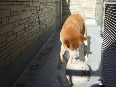 c0123890_2133485.jpg