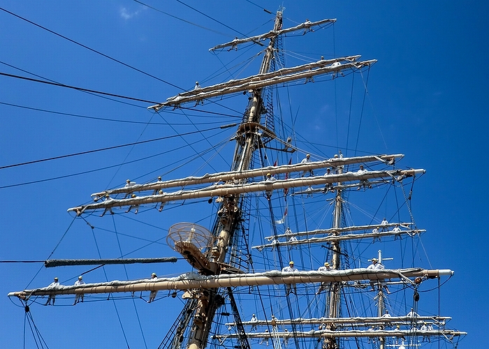 e0143690_755243.jpg