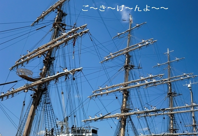 e0143690_7592565.jpg