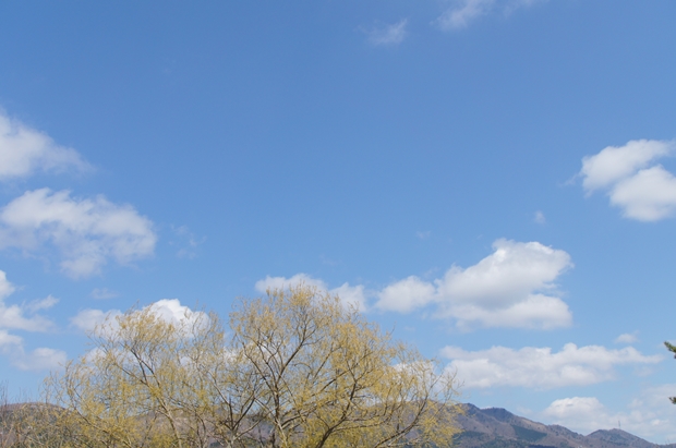 f0224192_1026424.jpg