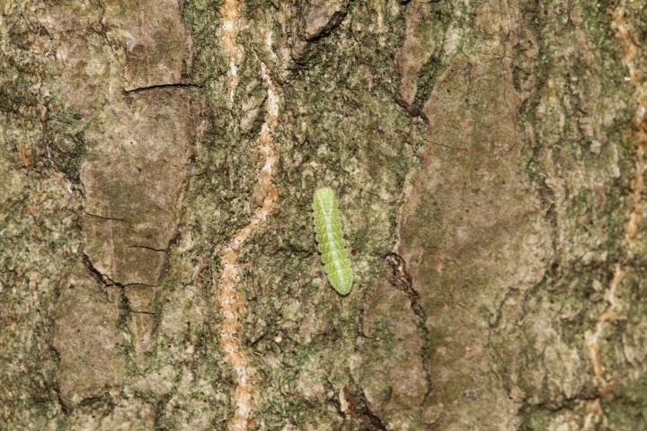 b0194593_837314.jpg