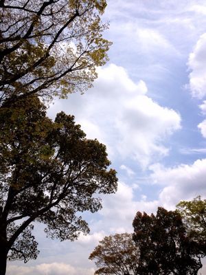 c0096393_15473055.jpg