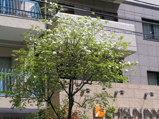 f0130894_204287.jpg
