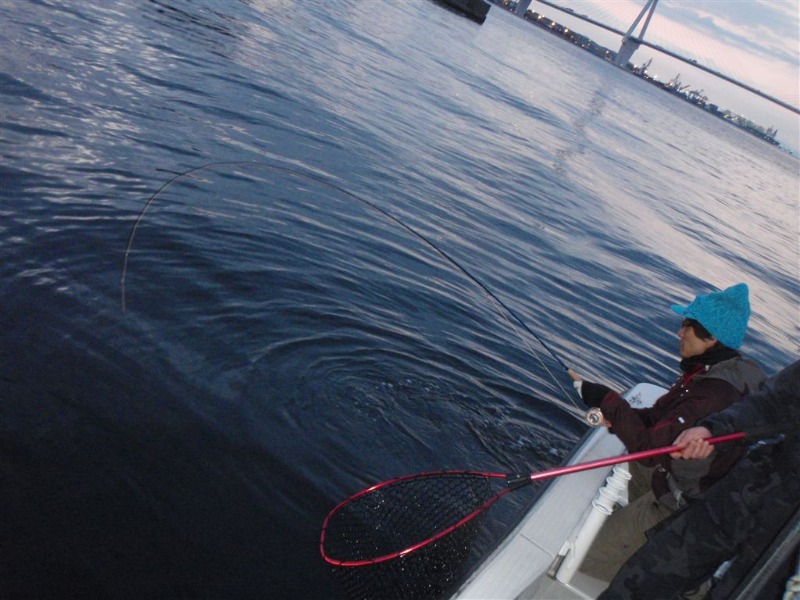 c0177497_215517.jpg