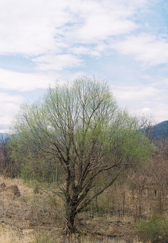 f0220698_20273726.jpg