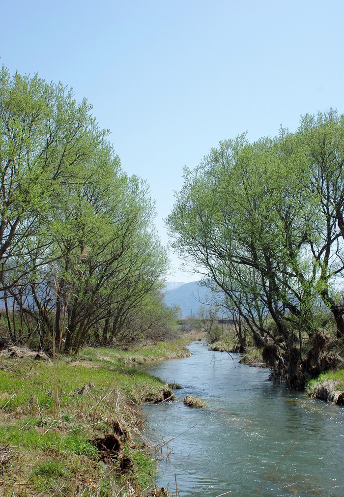 f0220698_20324594.jpg