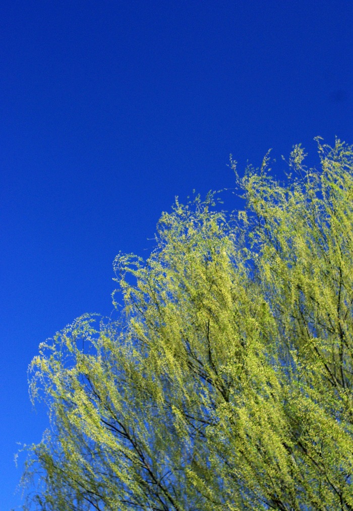 f0220698_20345838.jpg