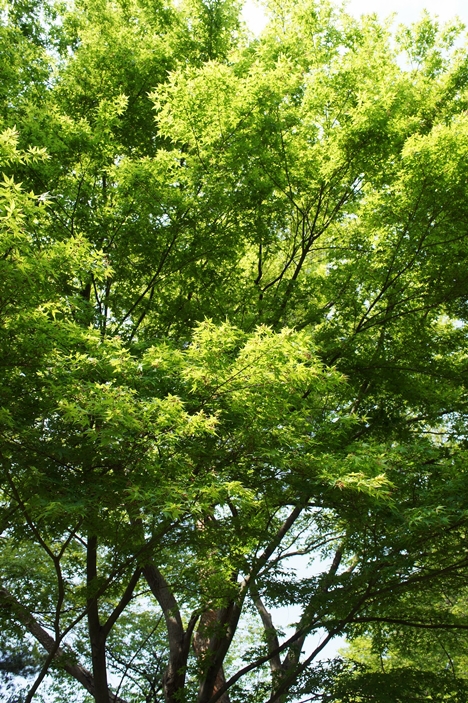 e0277800_22395655.jpg