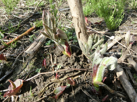 a0203003_1024458.jpg