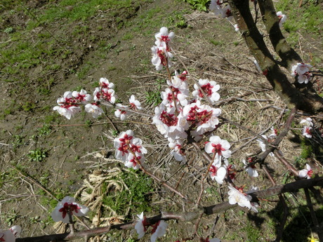 a0203003_10335960.jpg
