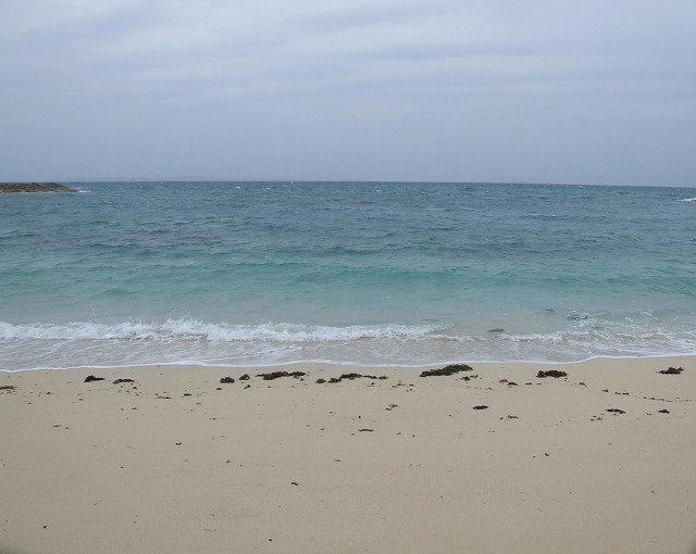 c0187403_1535235.jpg