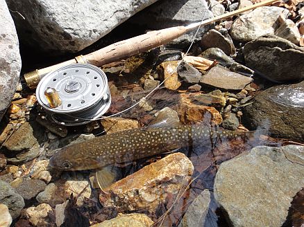 b0172805_20262793.jpg