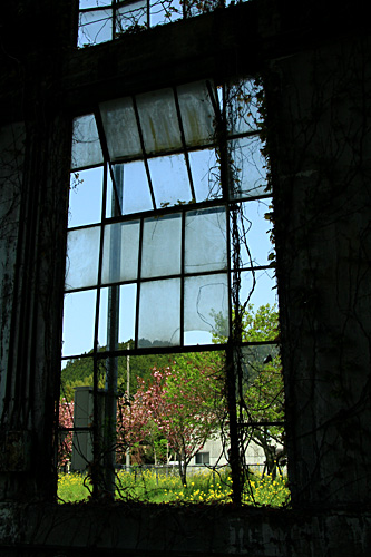 b0014607_1437311.jpg