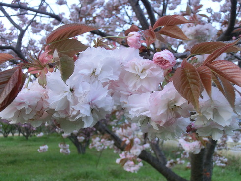 b0239909_2237672.jpg