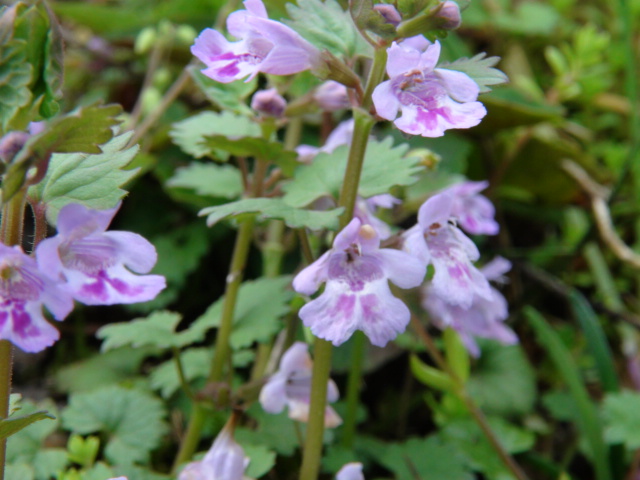 f0231709_0431715.jpg