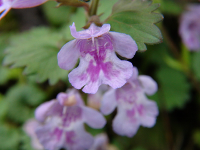 f0231709_043526.jpg