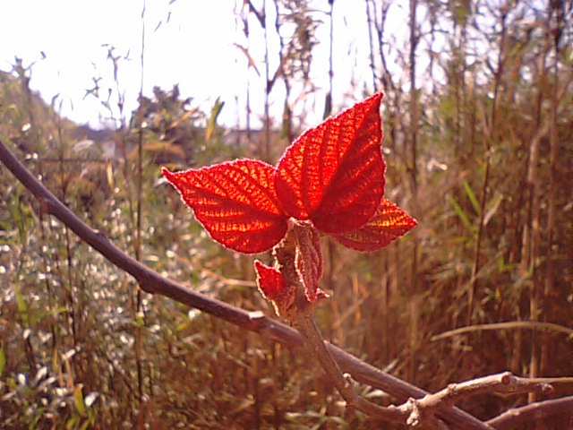 f0231709_14542864.jpg