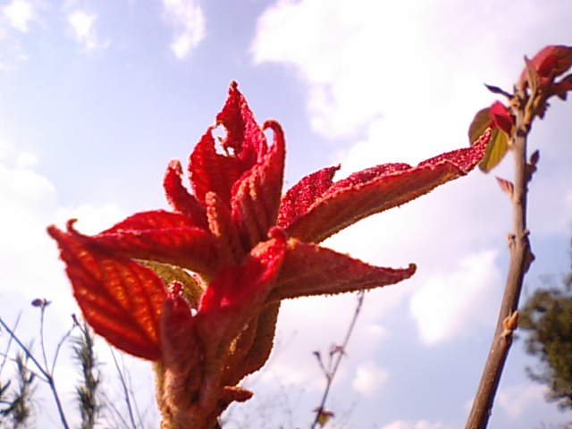 f0231709_1454290.jpg