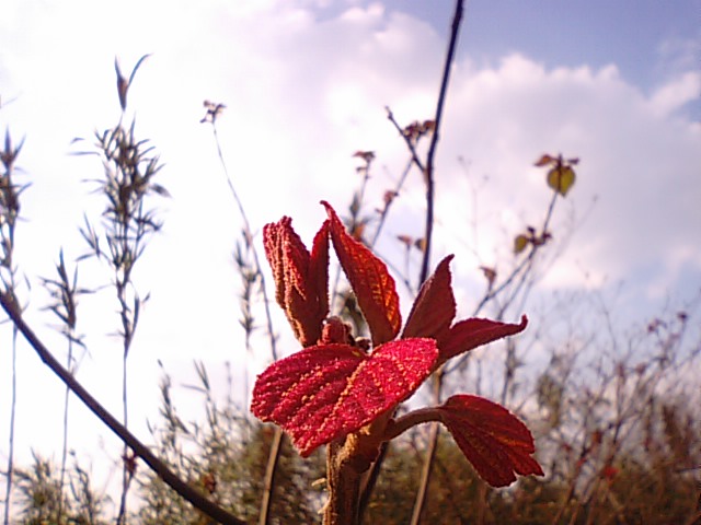 f0231709_1455219.jpg