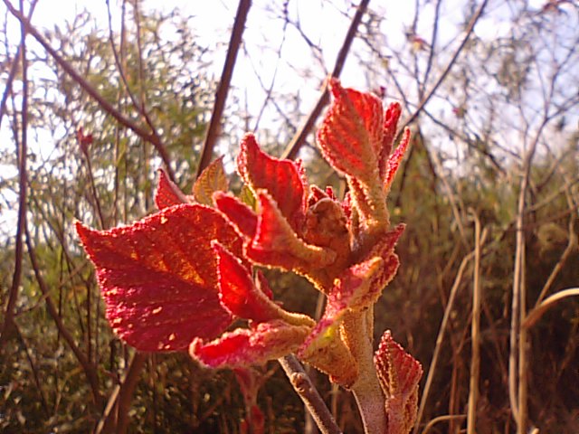 f0231709_1458355.jpg
