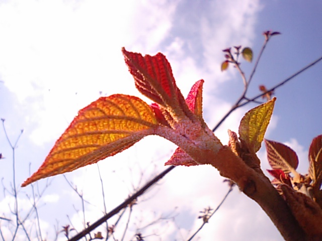 f0231709_1459571.jpg