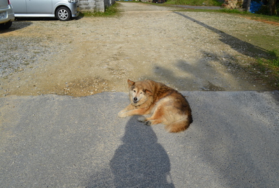 b0121019_21453731.jpg