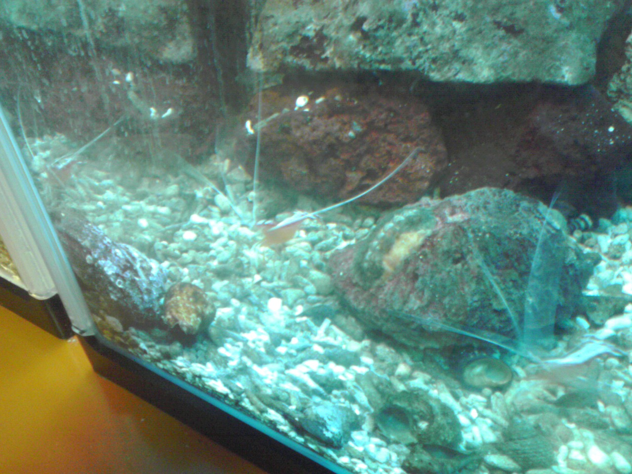 a0291521_658312.jpg