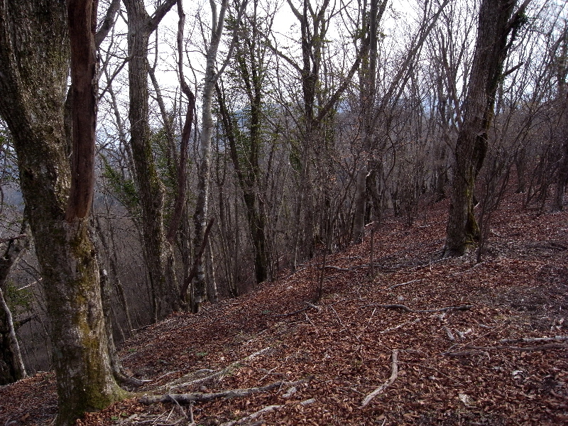 f0103126_2148596.jpg