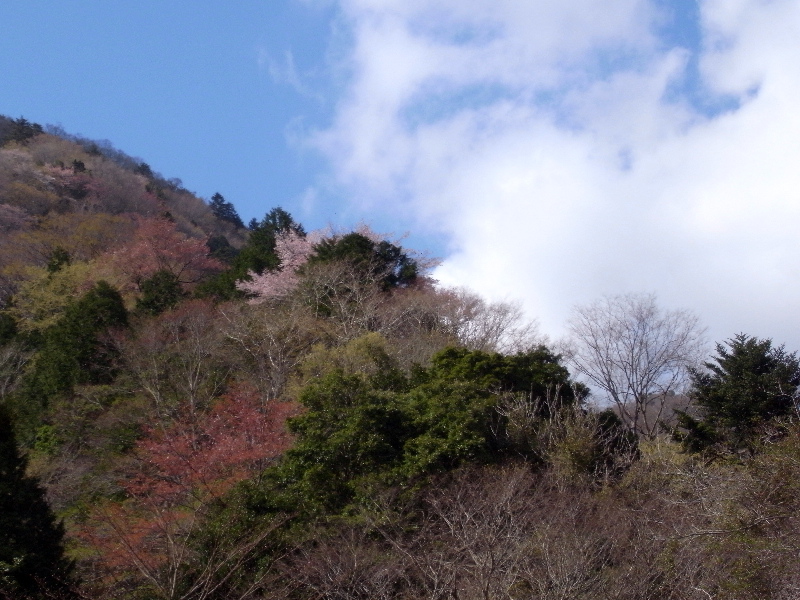 f0103126_2151712.jpg