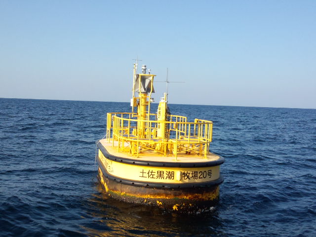 a0132631_1733528.jpg