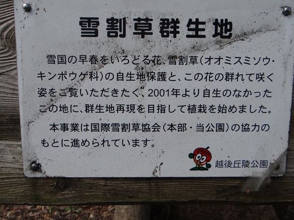 d0037233_1010220.jpg