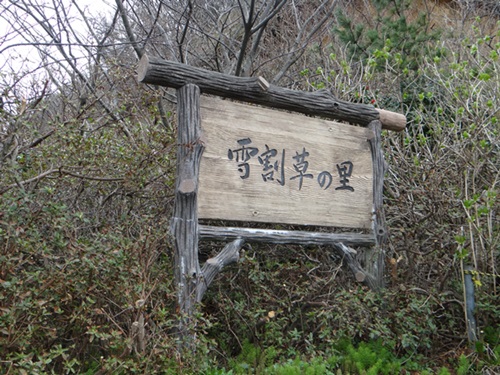 d0037233_1455215.jpg