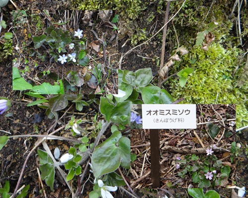 d0037233_14562862.jpg