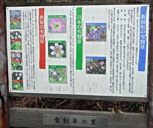 d0037233_1514738.jpg