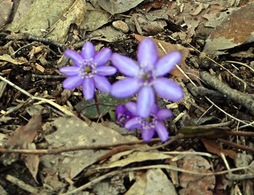 d0037233_9581144.jpg