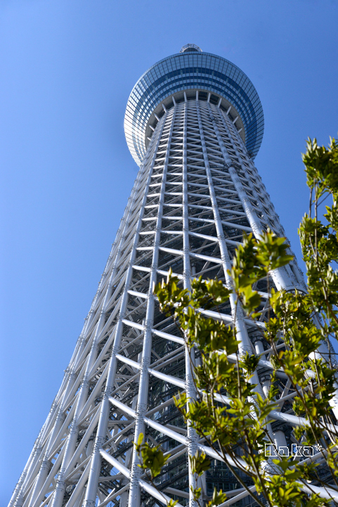c0250634_2295269.jpg