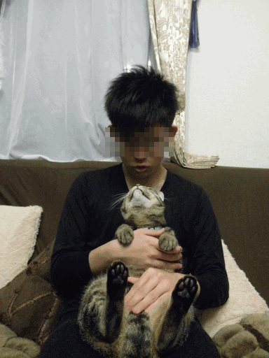 c0136736_21105787.gif