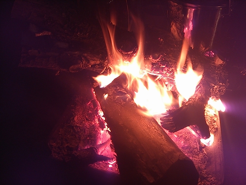 a0034438_16581431.jpg