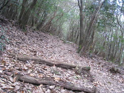 c0077338_6273063.jpg